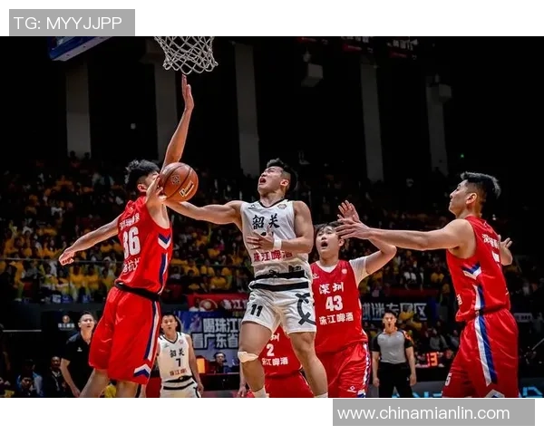 深圳篮球队技术争议引发热议球迷与专家各执己见的背后故事