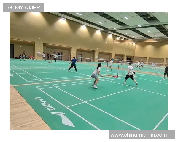 深圳羽毛球队荣登羽毛球意识排行榜首位引领全国羽毛球发展新潮流