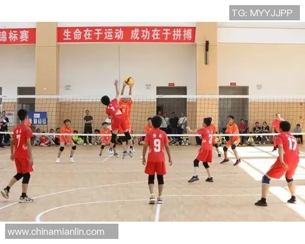 重庆排球队比赛经验分享:从赛场到训练的全方位探索与提升 重庆排球队比赛经验分享:从赛场到训练的全方位探索与提升