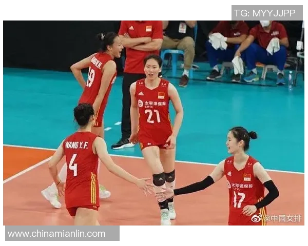 排球战术排行榜：西安排球队位居第2名