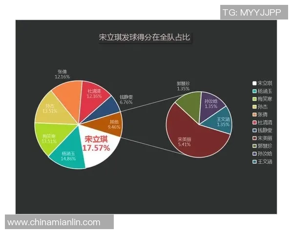 数据分析：武汉排球队的速度表现