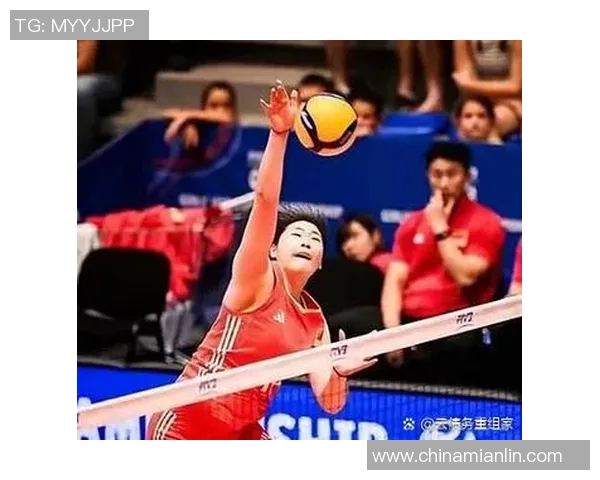 2026排球节奏排行榜：上海排球队位居第6名