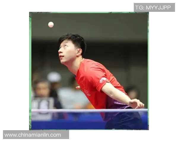 乒乓球新手攻略：速度入门指南